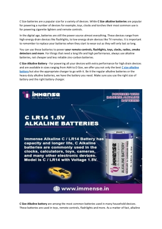 Know the best thing about C Size Alkaline battery