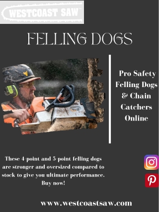 Shop Pro Safety Felling Dogs & Chain Catchers Online