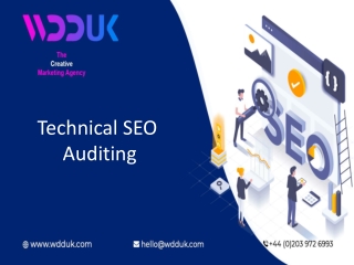 Technical SEO Auditing