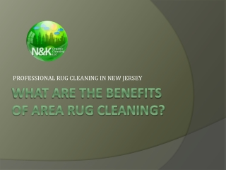 What Are The Benefits Of Area Rug Cleaning, nkcleaning