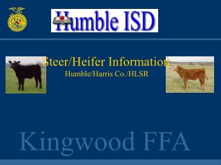 Kingwood FFA