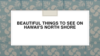 Beautiful Things to See on Hawaii's North Shore