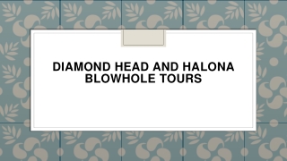 Diamond Head and Halona Blowhole Tours