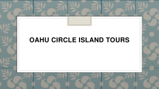 Oahu Circle Island Tours