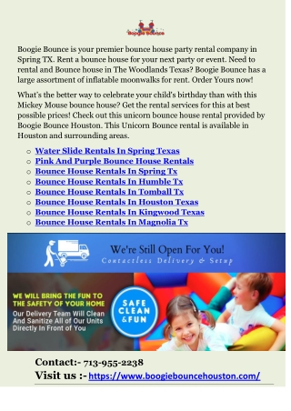 Bounce House Rentals In Houston Texas