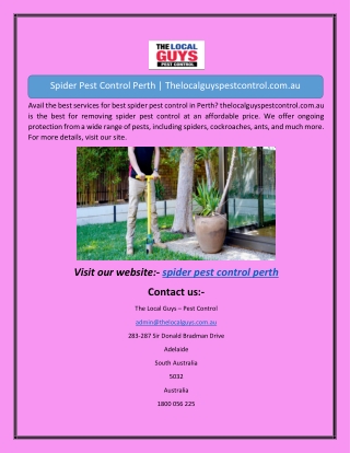 Spider Pest Control Perth | Thelocalguyspestcontrol.com.au