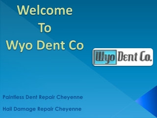 Wyo Dent Co