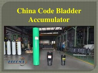 China Code Bladder Accumulator