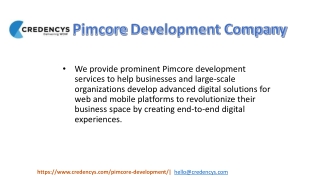 Pimcore Development Services - Credencys