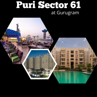 Puri Sector 61 Gurugram - Brochure