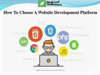 How To Choose A Website Development Platform