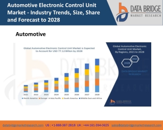 Automotive Electronic Control Unit