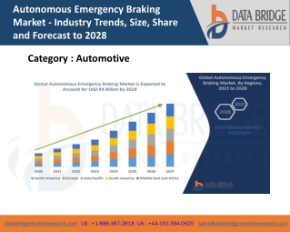 Autonomous Emergency Braking