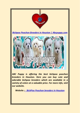 Bichpoo Poochon Breeders in Houston  Abcpuppy.com