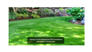 Contact Us For Residential SOD Installation Services In Charlotte NC