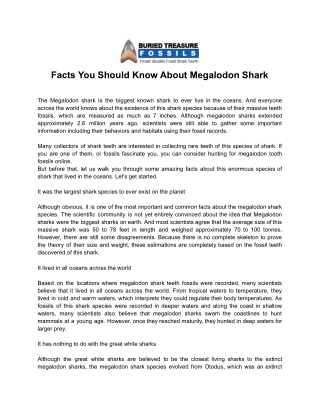 Facts You Should Know About Megalodon Shark