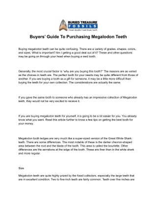 Buyers’ Guide To Purchasing Megalodon Teeth