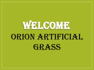 Best Artificial Grass Installation in Southsea