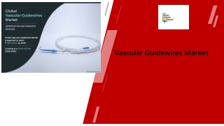 Vascular Guidewires Market Size, Share and Forecast Analysis by 2025