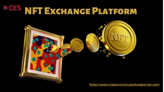 NFT Exchange Platform Development