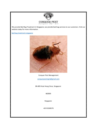 Bed Bug Treatment Singapore  Conquer Pest