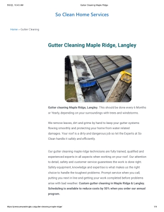 #1 Gutter Cleaning in Langley - 778-229-8994
