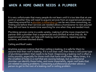 Owner Needs a Plumber