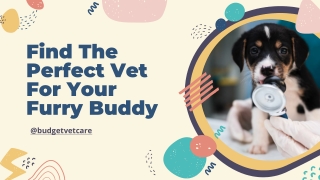 How to Choose the Best Vet for Your Pet?
