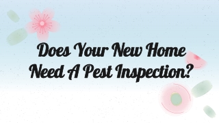 Does your new home need a pest inspection_