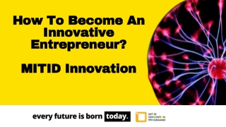 Innovative Entrepreneur - MIT ID Innovation