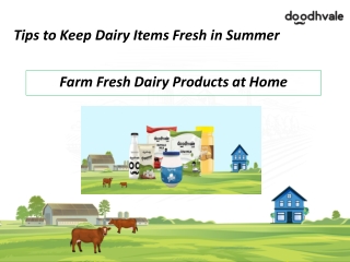 Tips to Keep Dairy Products Fresh in Summer