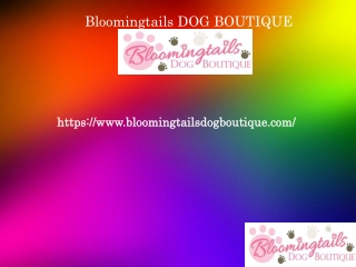 Dog Grooming Supplies