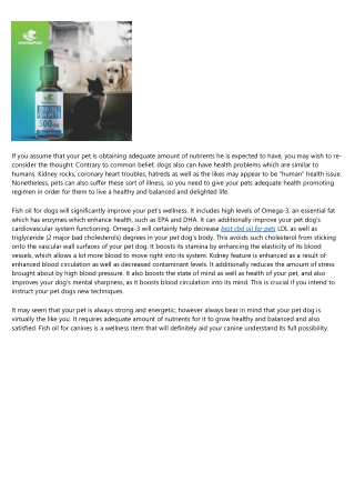 Why Fish Oil For Dogs is necessary in Overall Family Pet Wellness
