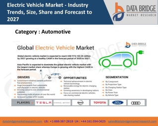 Electric Vehicle