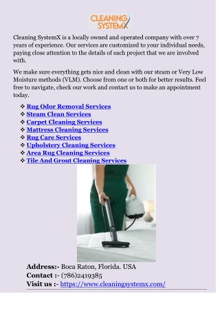 Same Day Rug Care Cleaning Services
