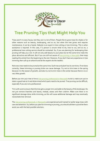 Tree Pruning Tips That Might Help You - Chop N Drop Tree Specialists