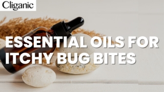 ESSENTIAL OILS FOR ITCHY BUG BITES