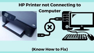 Why isn't my HP printer connecting to my computer? (Know How to Fix)