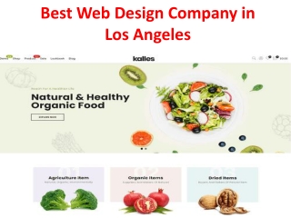Best Web Design Company in Los Angeles