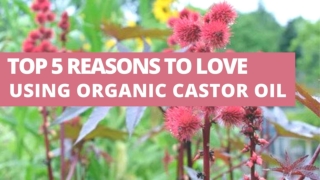 TOP 5 REASONS TO LOVE USING ORGANIC CASTOR OIL