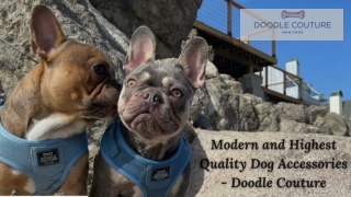 Modern and Higest Quality Dog Accessories - Doodle Couture