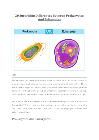 20 Surprising Differences Between Prokaryotes And Eukaryotes