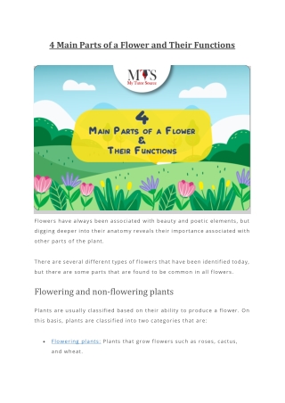 4 Main Parts of a Flower and Their Functions