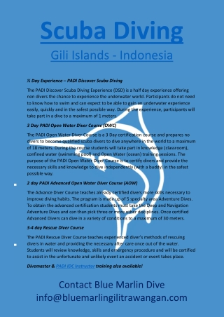 scuba diving gili islands