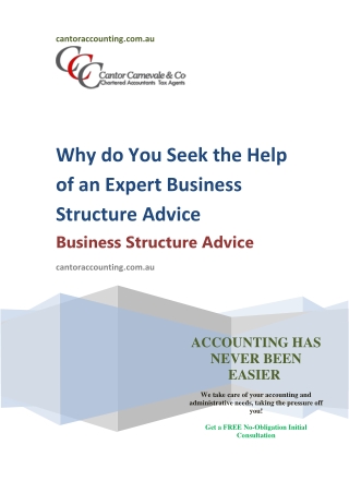 Why do You Seek the Help of an Expert Business Structure Advice