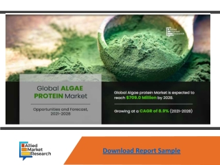 Algae Protein market