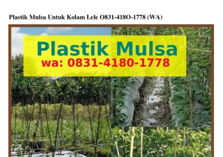 Plastik Mulsa Untuk Kolam LelePlastik Mulsa Untuk Kolam Lele 08ᣮl–Կl80–l778[WA]