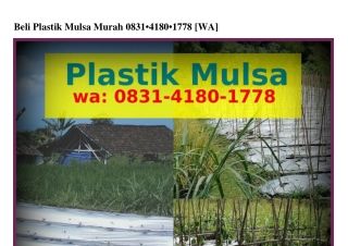 Beli Plastik Mulsa Murah ౦831•Կ18౦•1778{WhatsApp}