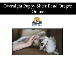 Overnight Puppy Sitter Bend Oregon Online