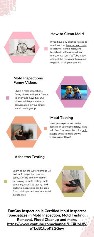 How to Clean Mold